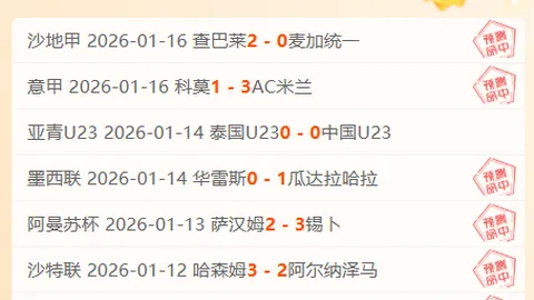 新疆国际赛事训练营汇聚，友谊与竞技同辉